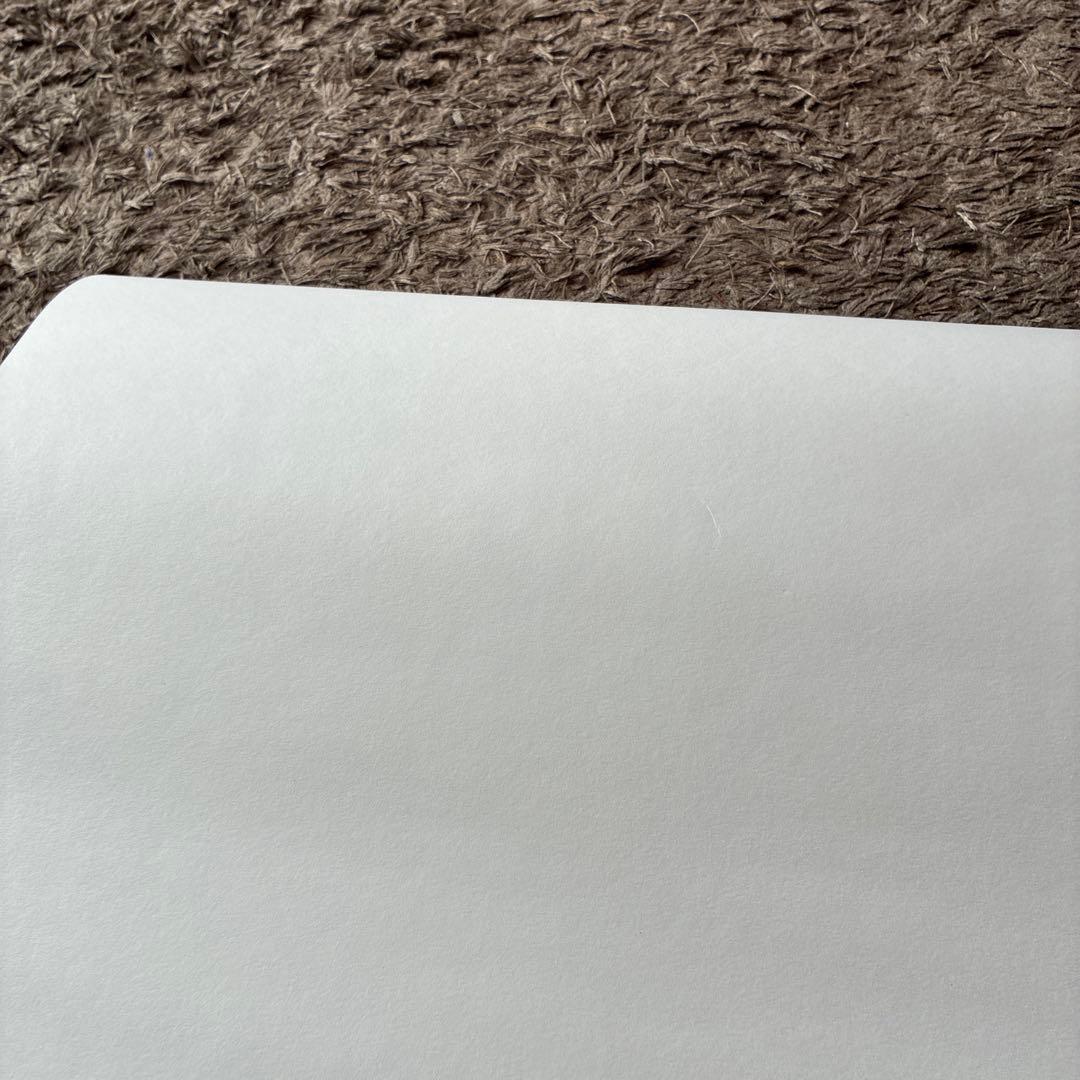 チャーリー・ブラウン VS スヌーピー ポスター