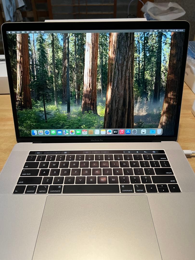 【2025年os搭載】MacBook Pro 15インチ　32gメモリ-