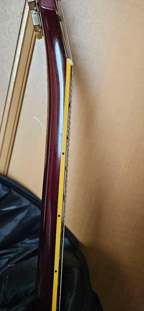 ギター E-LP-98LTS