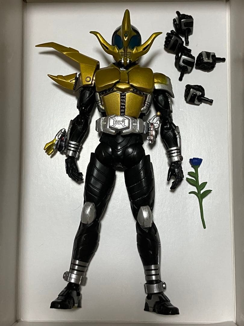 S.H.Figuarts 真骨彫 仮面ライダーコーカサス