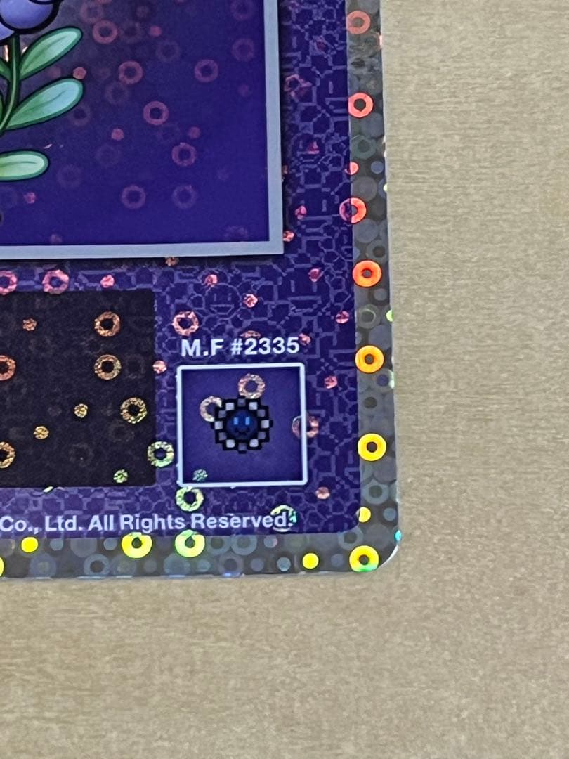 108フラワーズ 村上隆 子供お花 Child Frower エラー 日本語