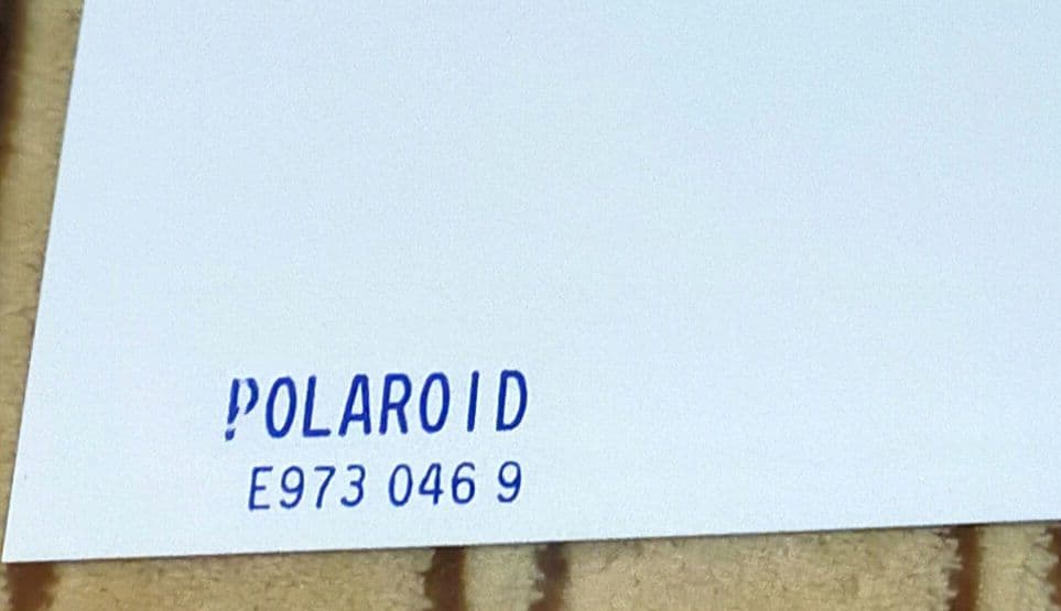 椎名林檎　直筆サイン入り特大ポラロイド写真