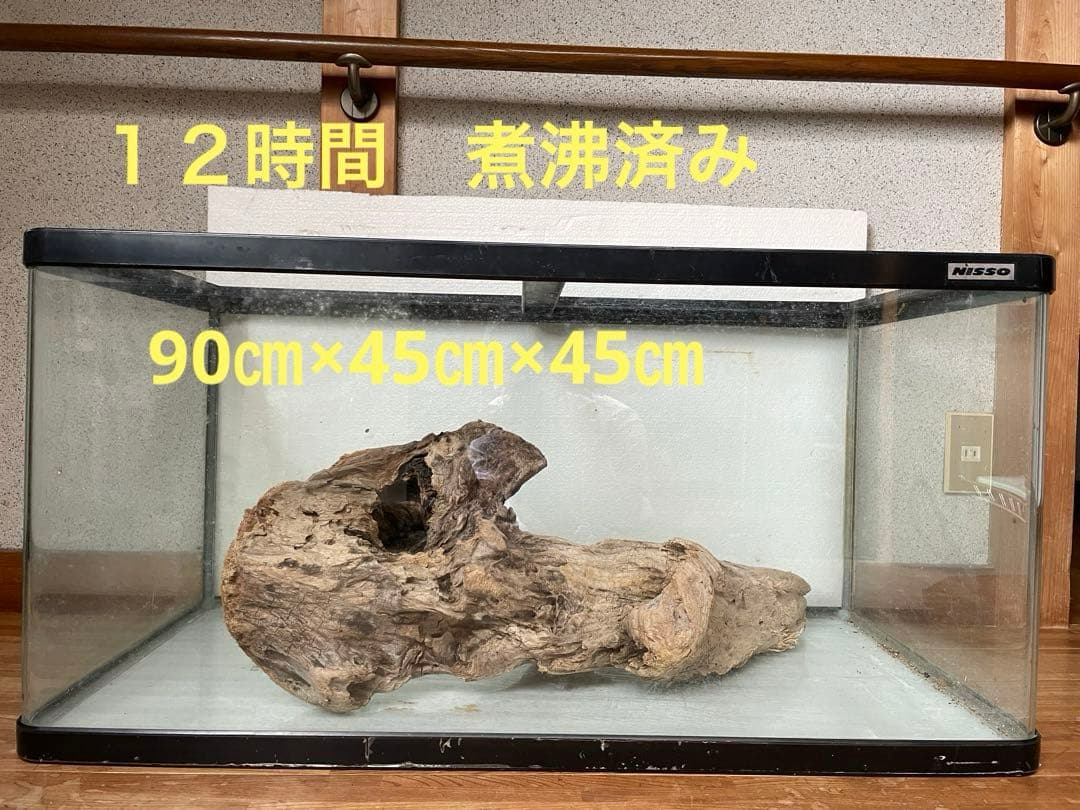 超大型　☆アクアリウム　生花　テラリウム 爬虫類　天然流木 ホーンウッド　⭐︎
