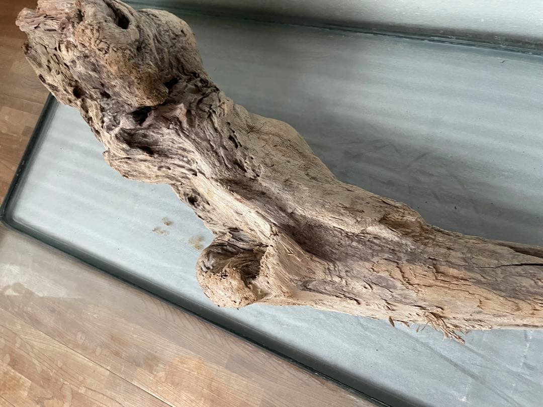 超大型　☆アクアリウム　生花　テラリウム 爬虫類　天然流木 ホーンウッド　⭐︎