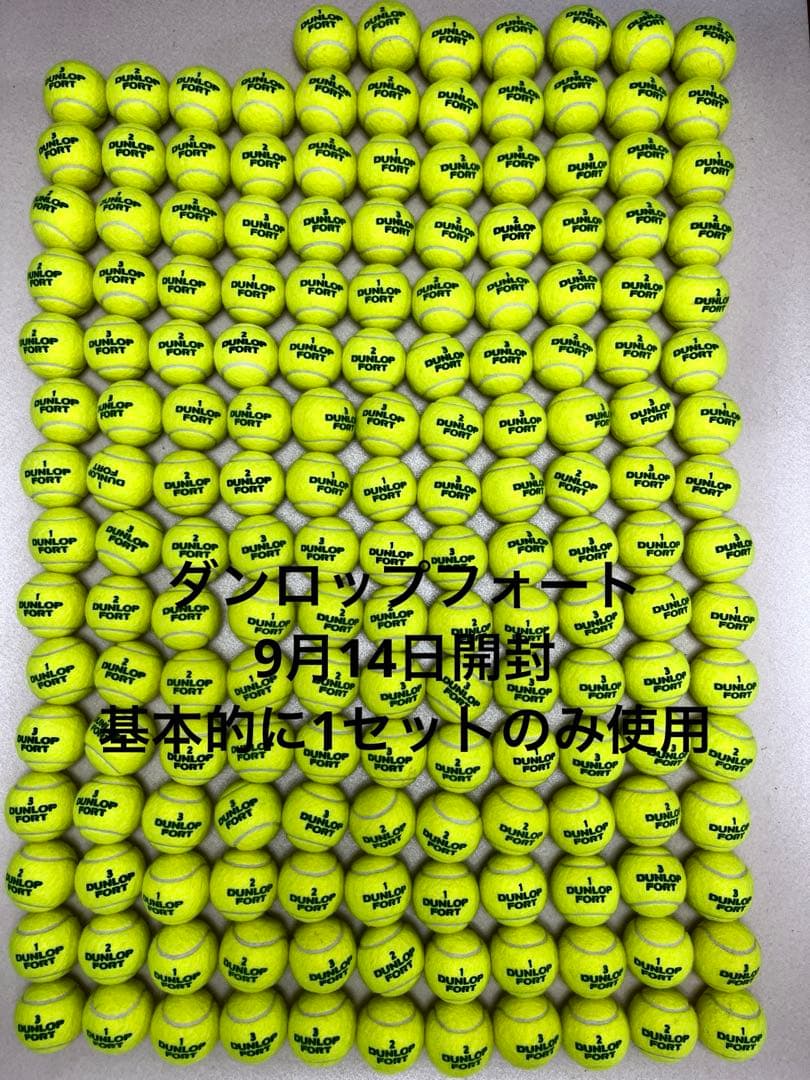ダンロップフォート172球　中古品