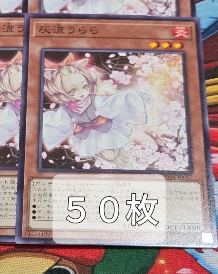 灰流うらら　50枚