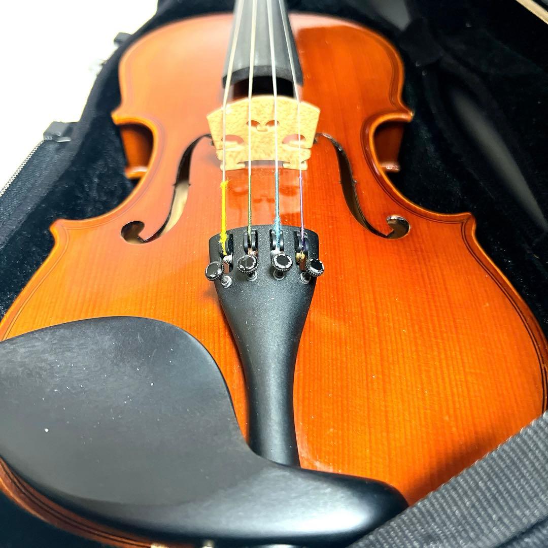 【良品】Andreas Eastman VL80 1/4 2017年製