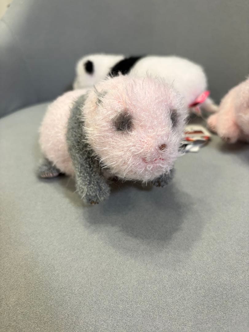 【希少】上野動物園 シャンシャン ほんとの大きさ ぬいぐるみ 3個セット