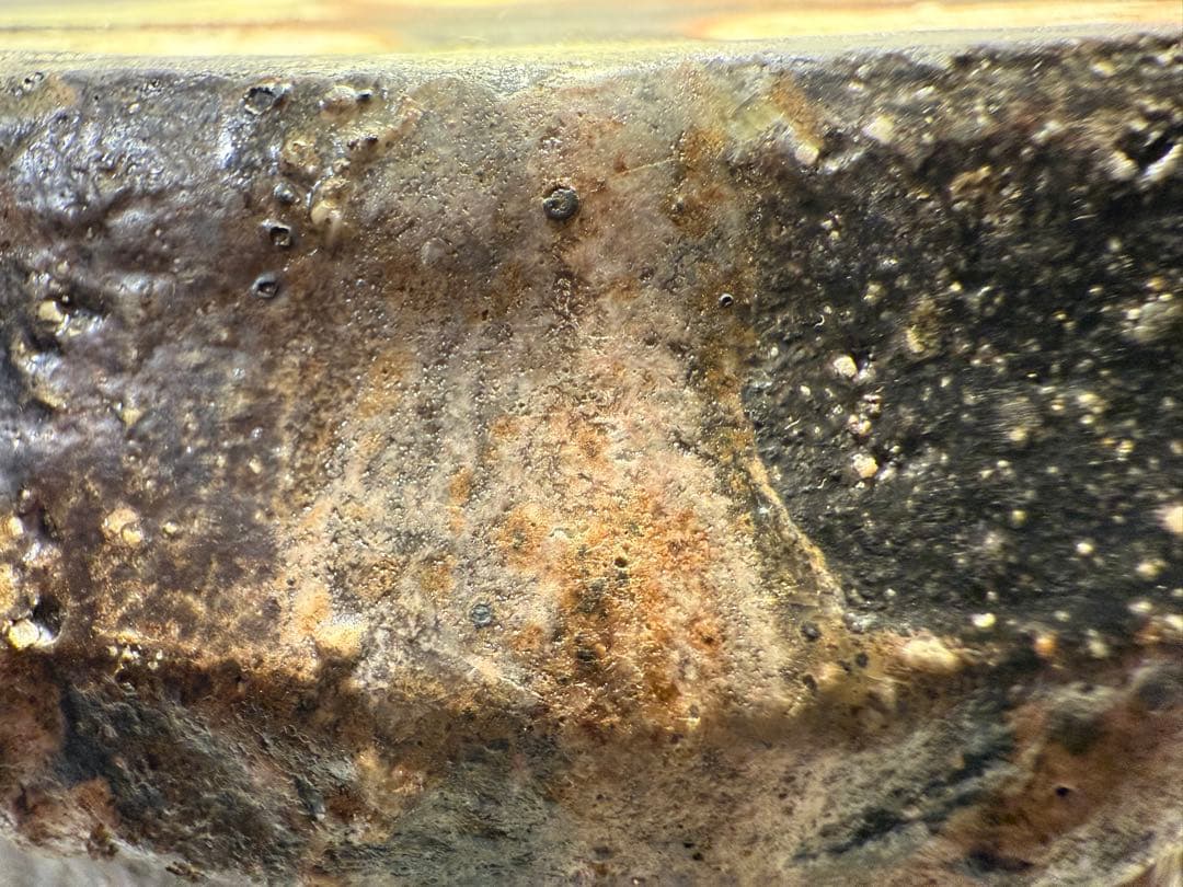 西山窯 坂本瀧山　薪窯焼成 焼締自然釉