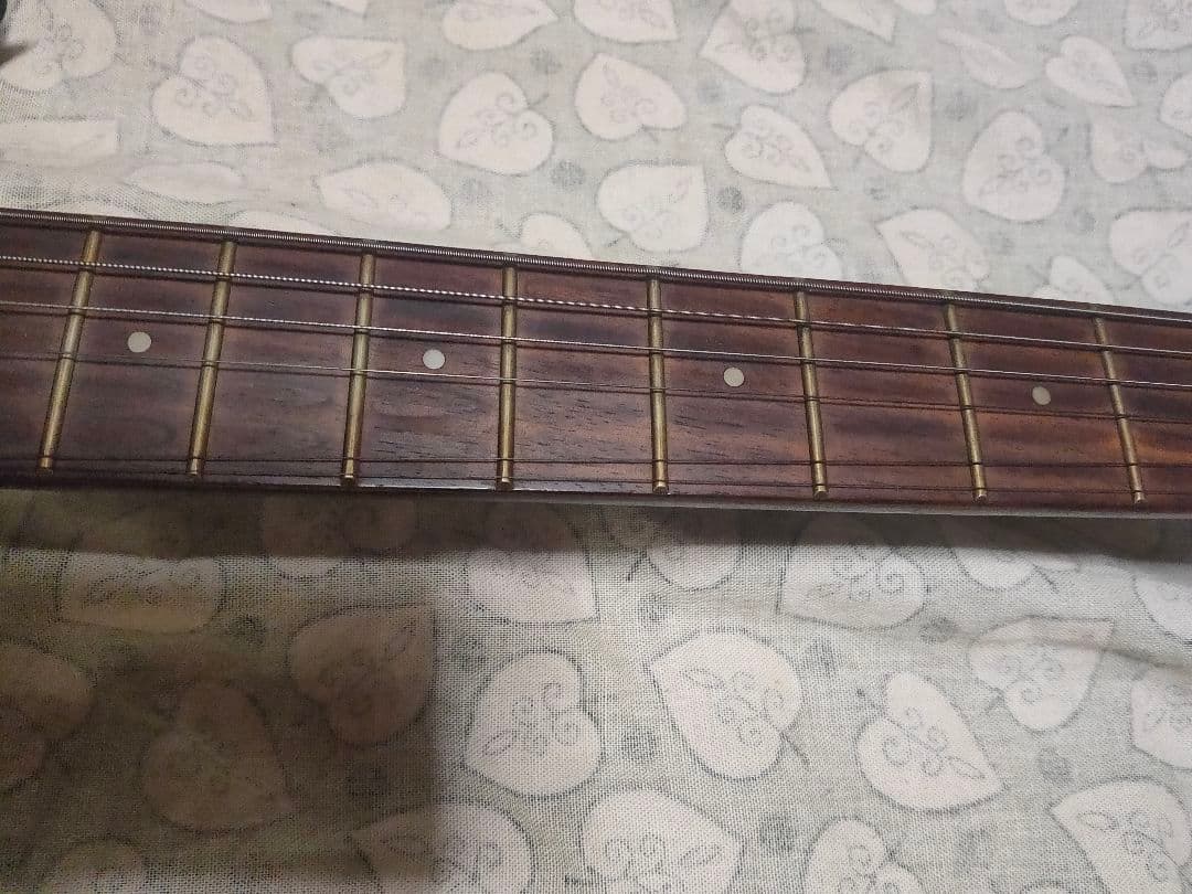 Black Dog ギター アルダーボディ　ストラトキャスタータイプ