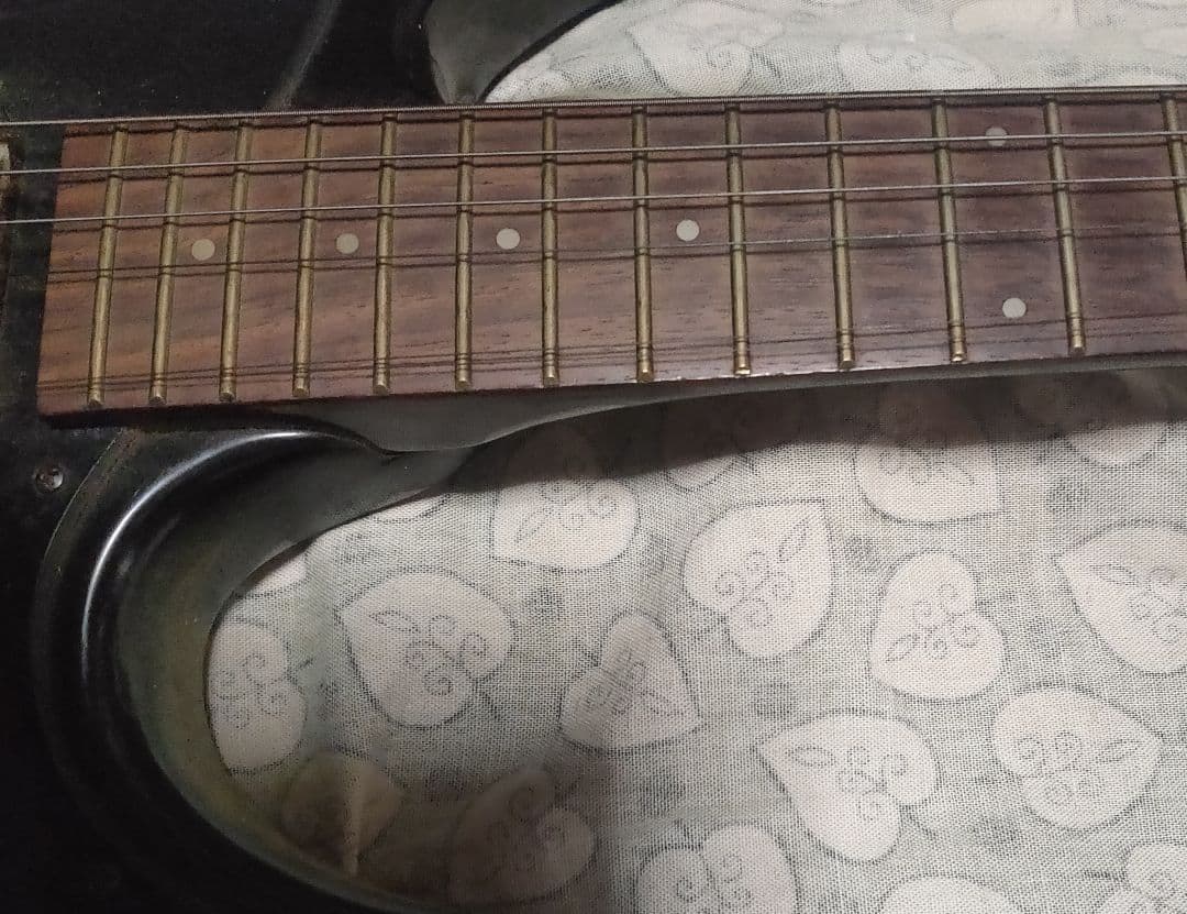 Black Dog ギター アルダーボディ　ストラトキャスタータイプ