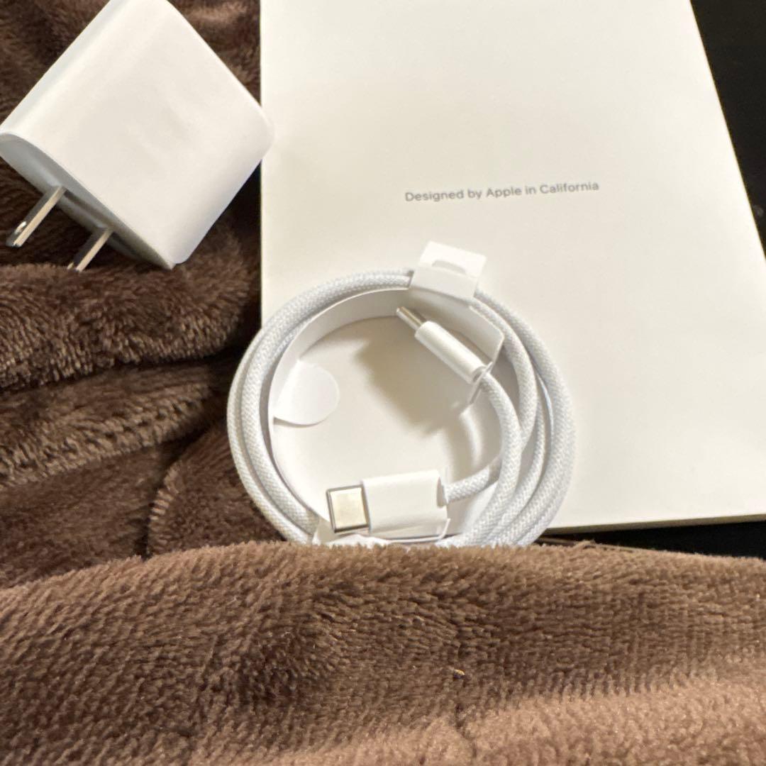 ipad mini 第6世代　Cellular model美品