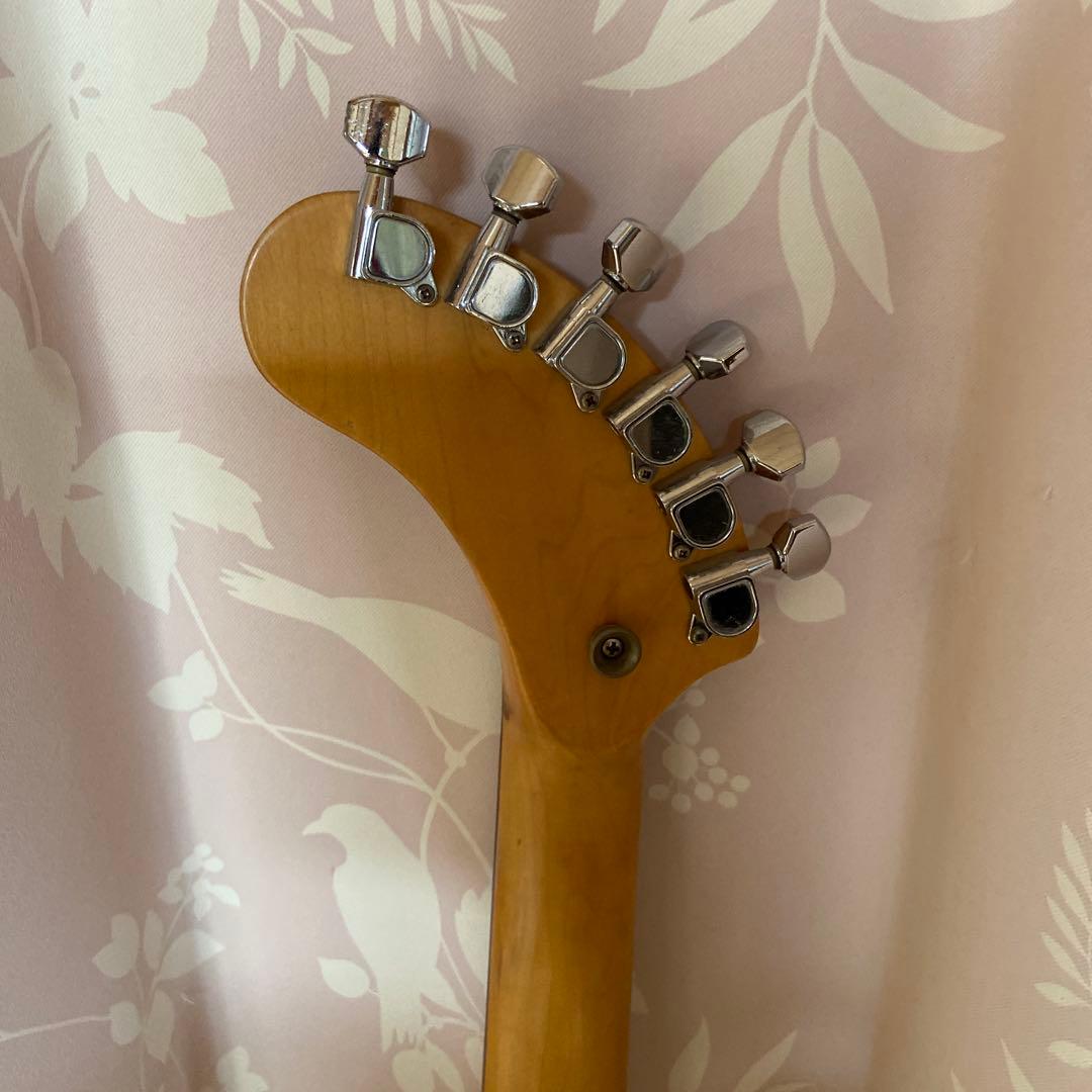 FERNANDES 内蔵スピーカー付きエレキギター