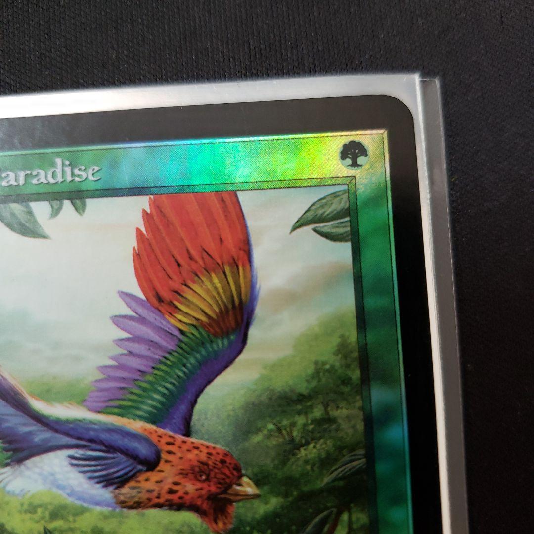 極楽鳥 MTG 7版 英語版 Foil Edward先生サイン入