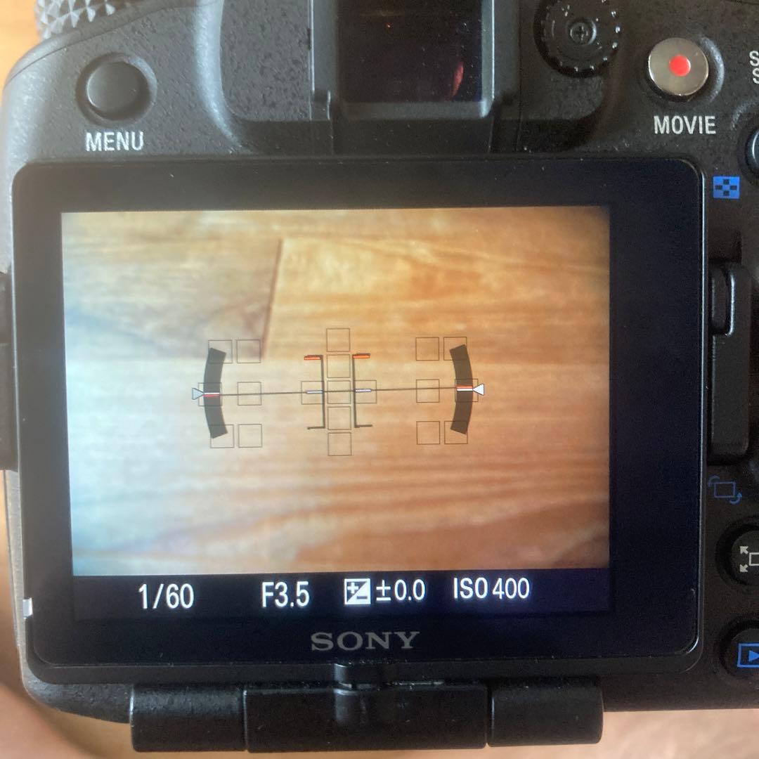 SONY α77 ボディ+ ZEISS 16-80mm レンズ