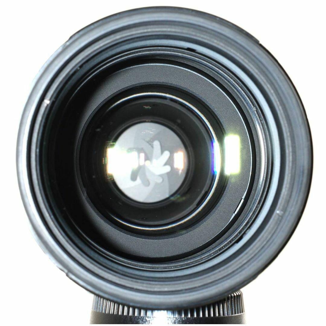 NIKON ニコン AF-S N 70-200mm F2.8 ライトグレー