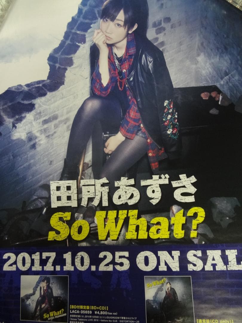 声優 アーティスト　販促非売品ポスター● B2ポスター大量　100枚
