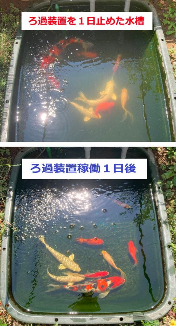 【RA様】三段式外部ろ過装置（個人製作濾過装置）【メダカ・金魚・錦鯉の屋外飼育】