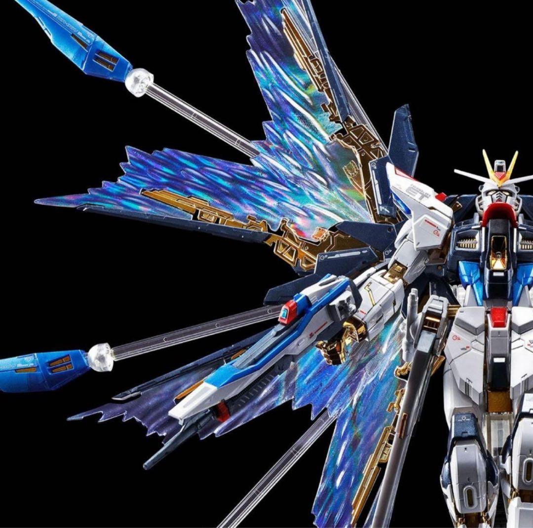 RG ストフリ 天空の翼 チタニウムフィニッシュ セット