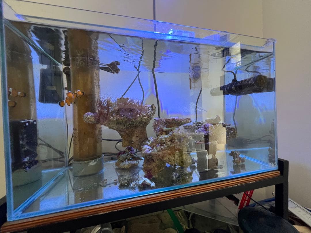 【引取限定】【早い者勝ち】オーバーフロー水槽 フルセット　設備のみ