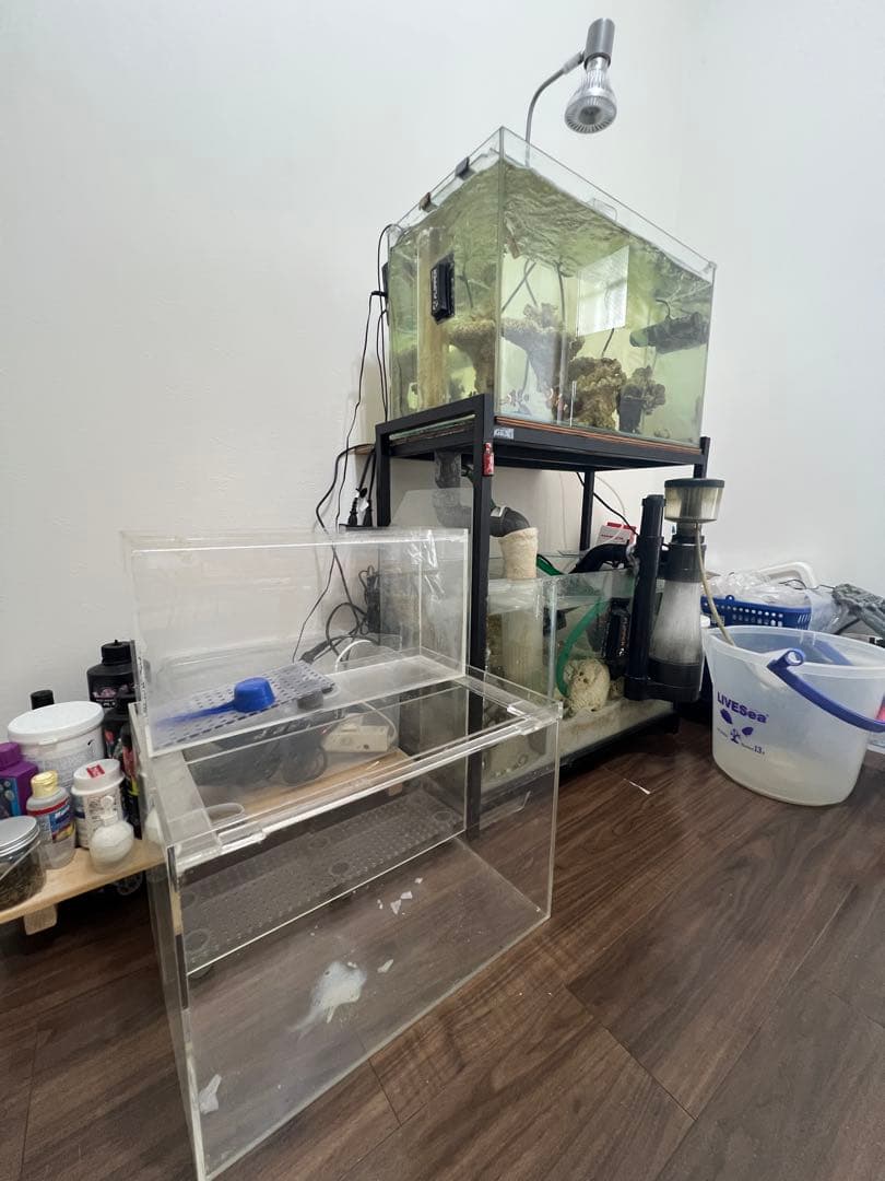 【引取限定】【早い者勝ち】オーバーフロー水槽 フルセット　設備のみ