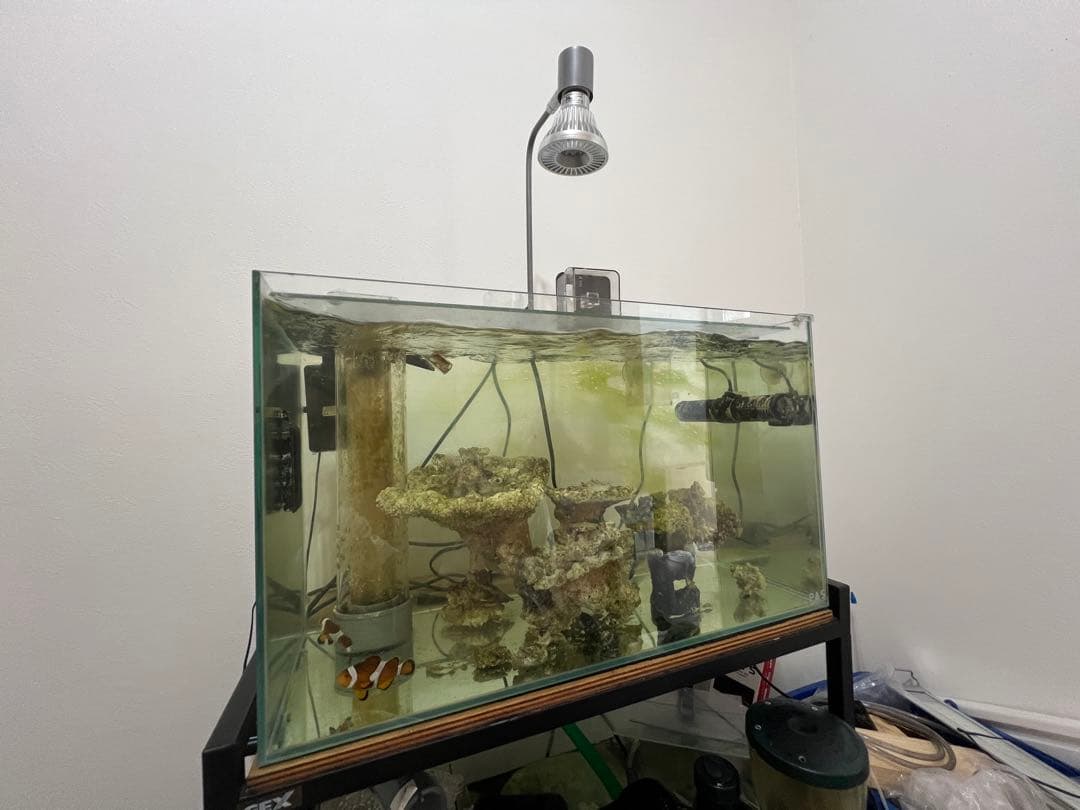 【引取限定】【早い者勝ち】オーバーフロー水槽 フルセット　設備のみ