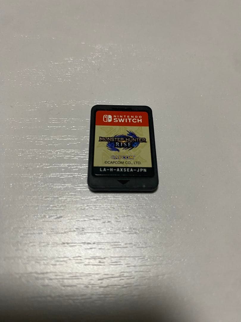 Nintendo Switch グレー 本体 + モンスターハンターライズ