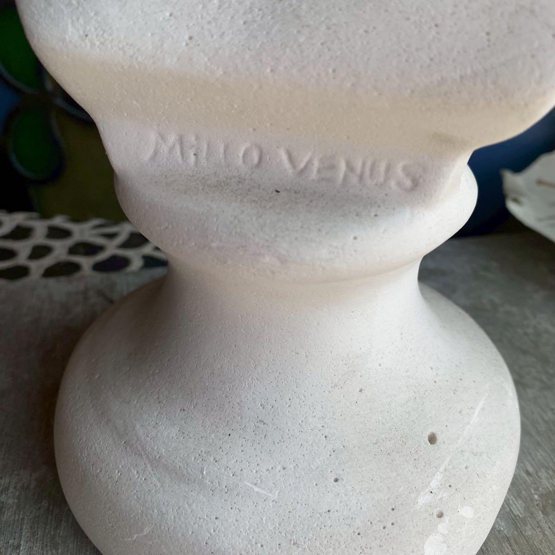 ミロのヴィーナス 首像 石膏像 インテリア アンティーク ビンテージ