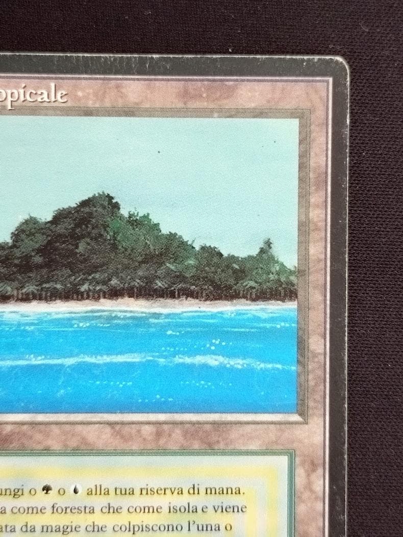 MTG Tropical  イタリア語 リバイズド黒枠 3EDBB