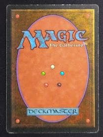 MTG Tropical  イタリア語 リバイズド黒枠 3EDBB