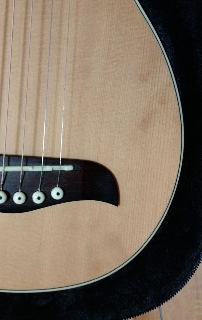 Washburn Rover トラベルギター