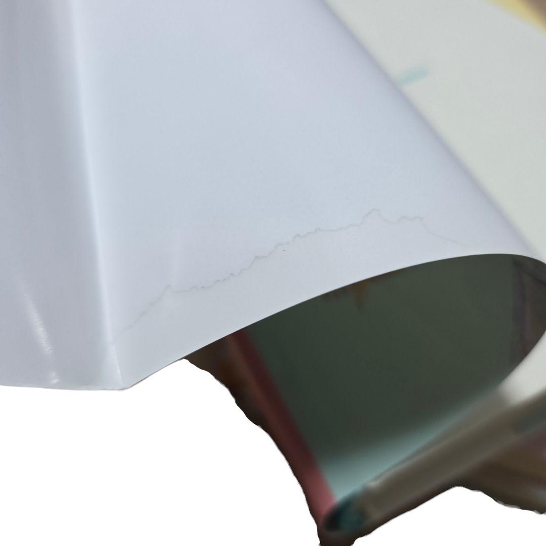 魔法の森 シリーズ 囚われちゃったお姫さま 4冊セット