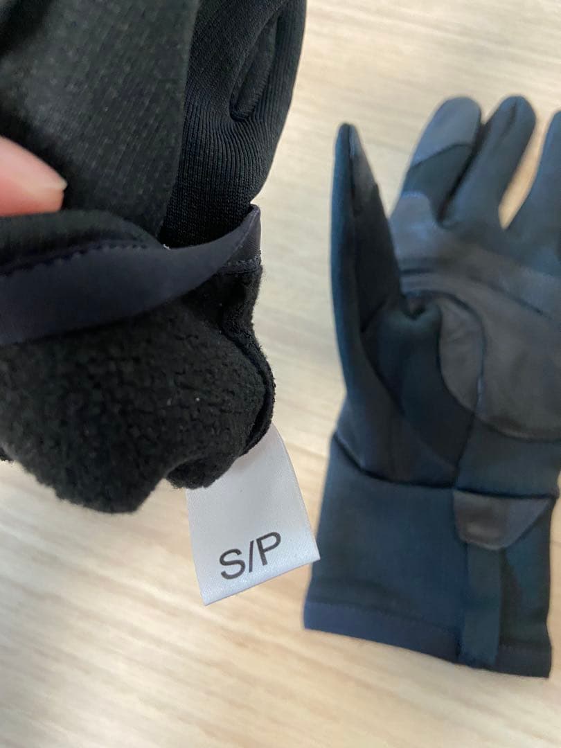 ARCTERYX アークテリクス Rivet Glove リベット グローブ