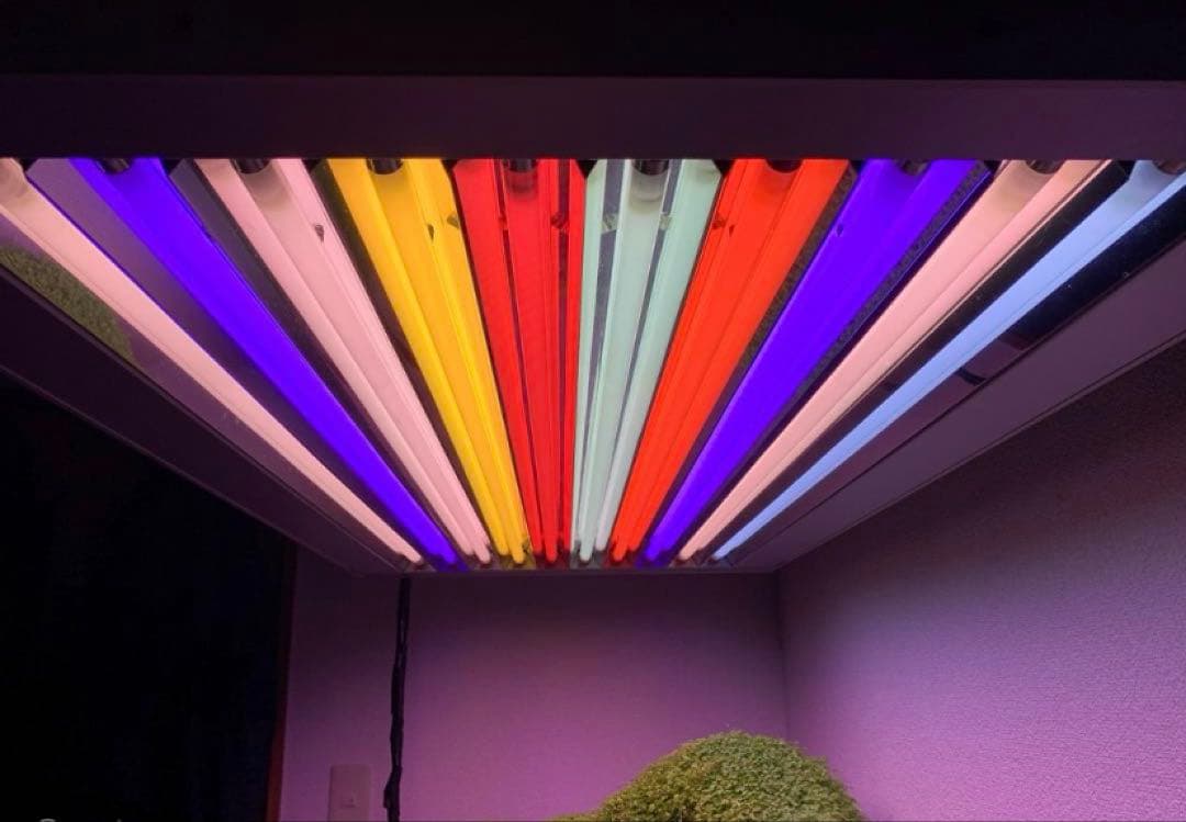 KZ Coral Light t5 アクアリウムライト　⭐️ADA 水槽にどうぞ