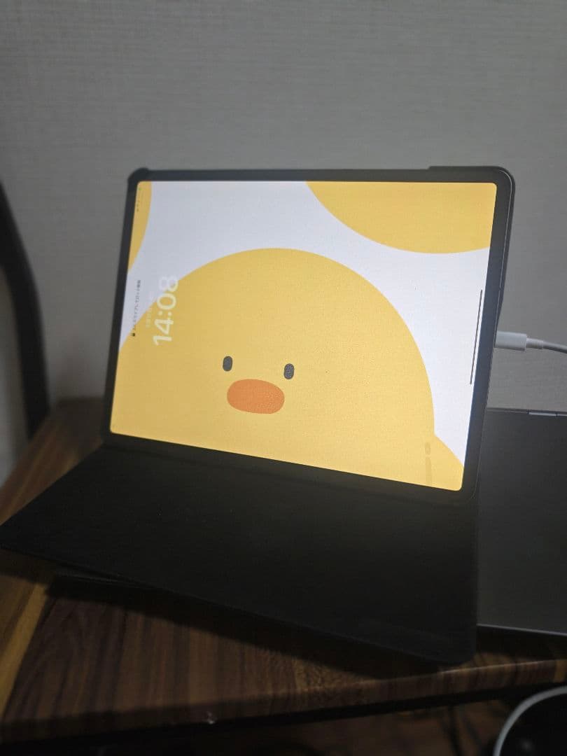 【超美品】iPadPro12.9/第3代/Cellular/512GB/本体のみ