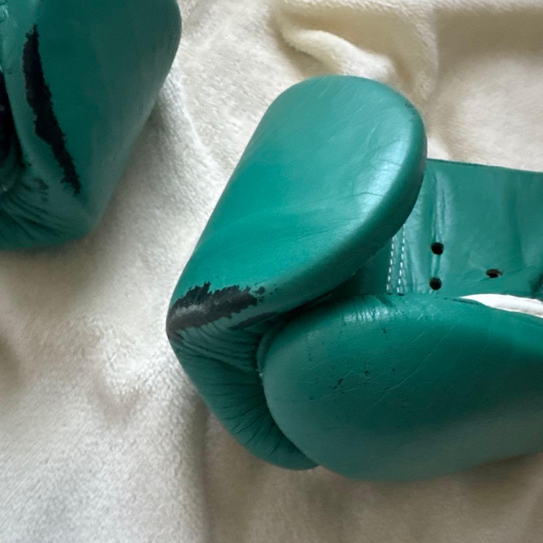 Winning ボクシンググローブ グリーン