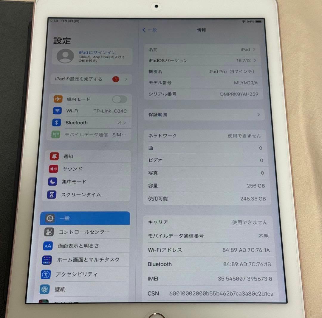 iPadPro 256GB 9.7インチ