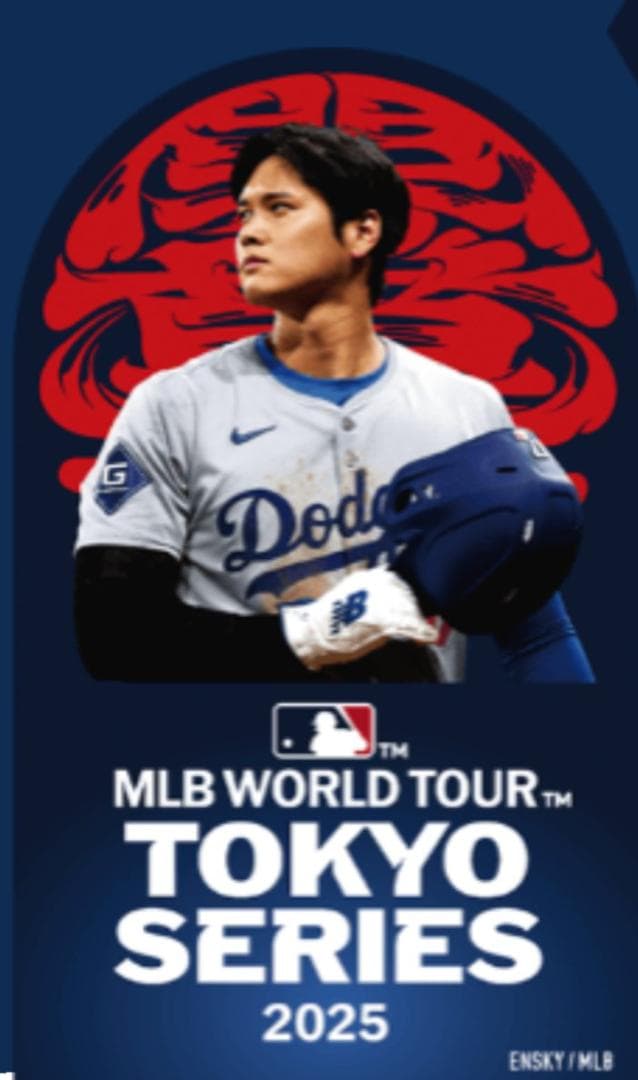 東京開幕記念WS24対戦記念＆大翔平NL・MV賞記念ローリングスBALL2個組