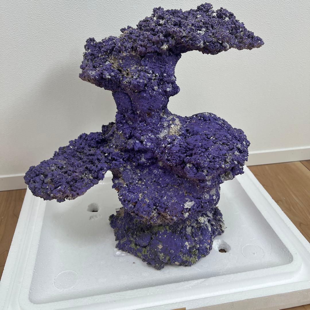 人口ライブロック 偽岩 レプリカライブロック サンゴ 人口 海水 水槽 ②