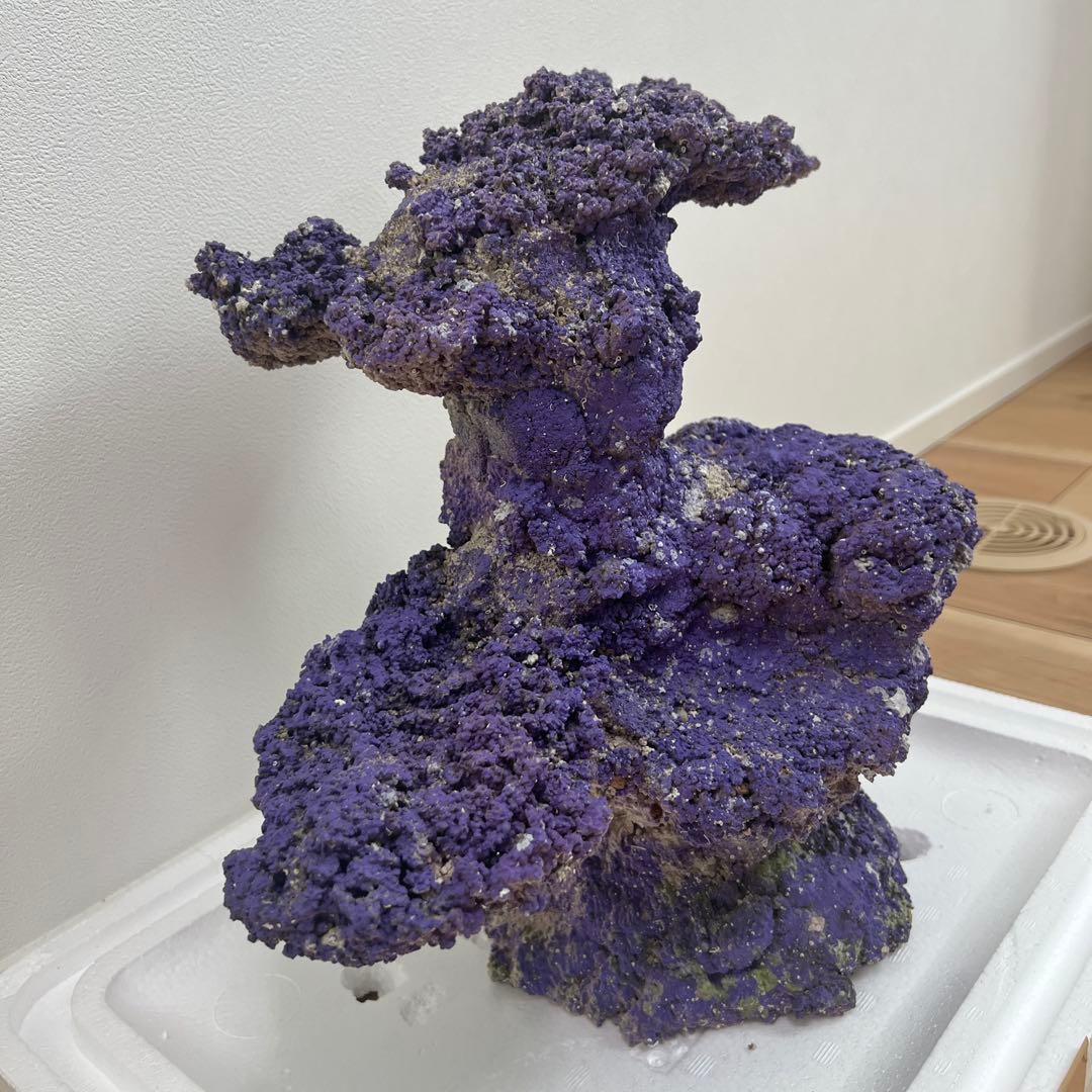 人口ライブロック 偽岩 レプリカライブロック サンゴ 人口 海水 水槽 ②