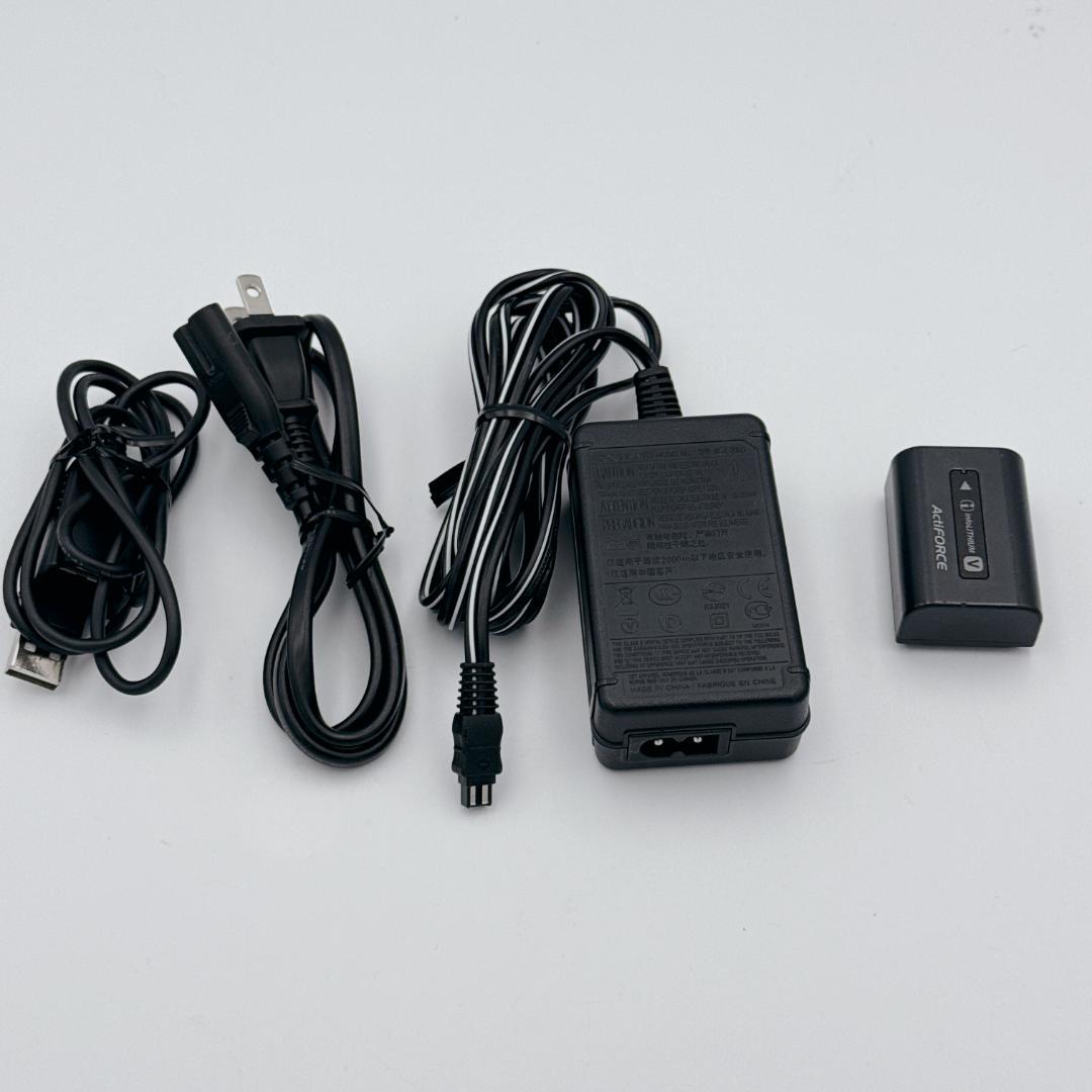 【美品・人気色】SONY ハンディカム ビデオカメラ HDR-CX390 ピンク