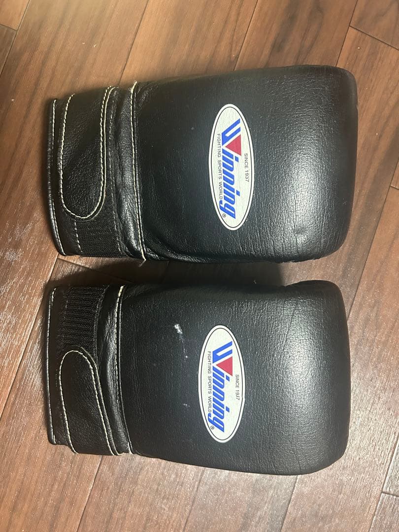 ウィニング　グローブ　パンチング