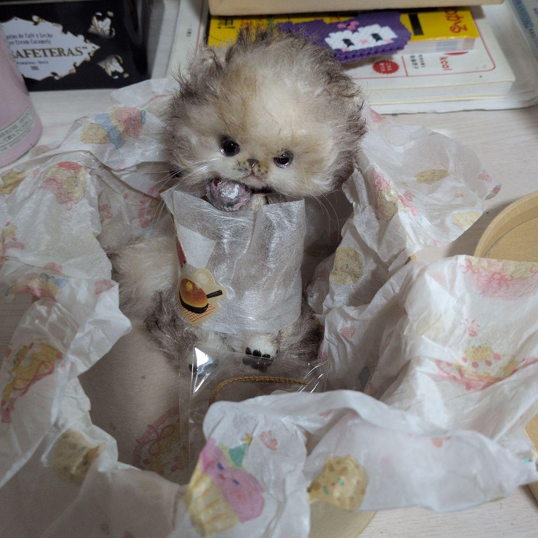 アーテストベア子猫ちゃん