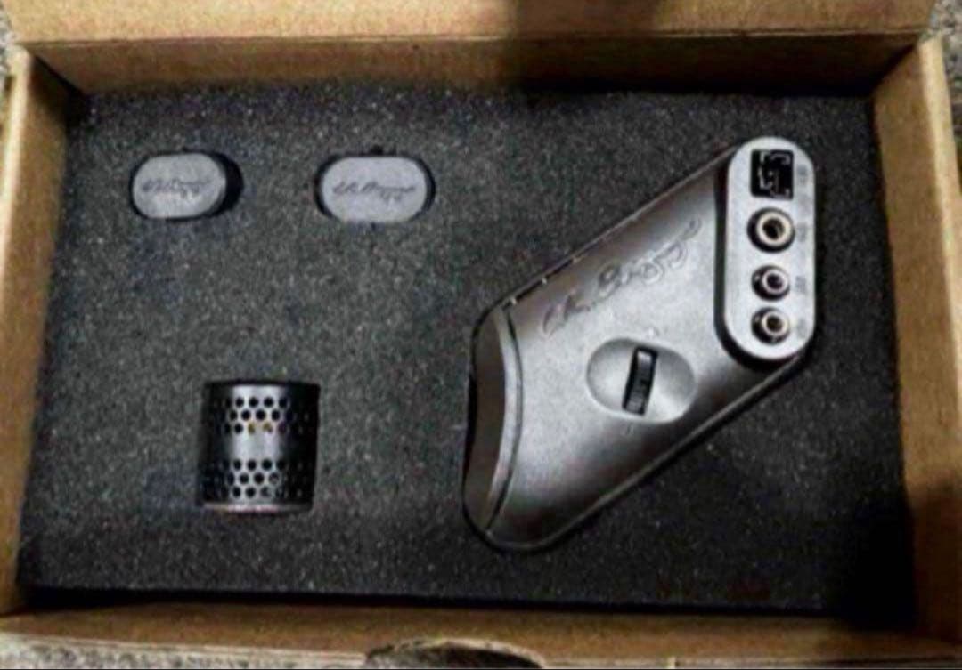 ギター LR BAGGS HiFi Duet