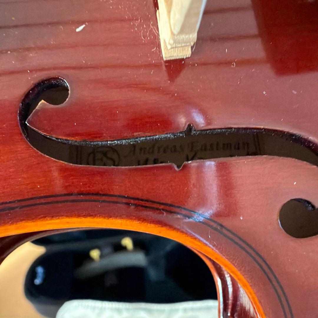 Eastman VL80 1/10 バイオリン本体 ケース付き
