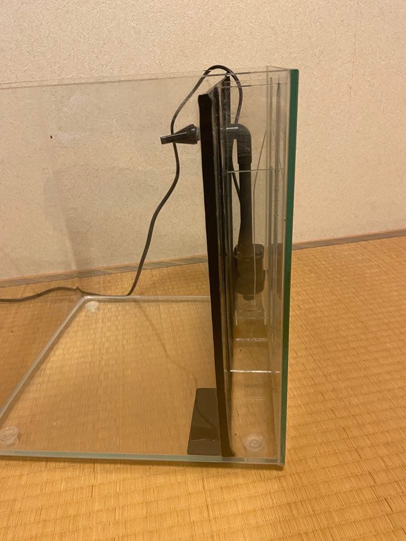 背面フローガラス水槽