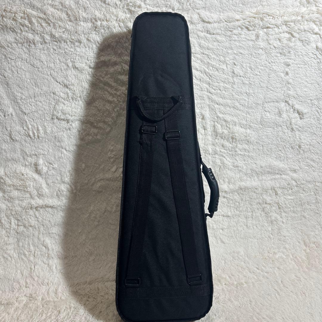 【美品】Hallstatt ハルシュタット V-12 4/4 バイオリンセット