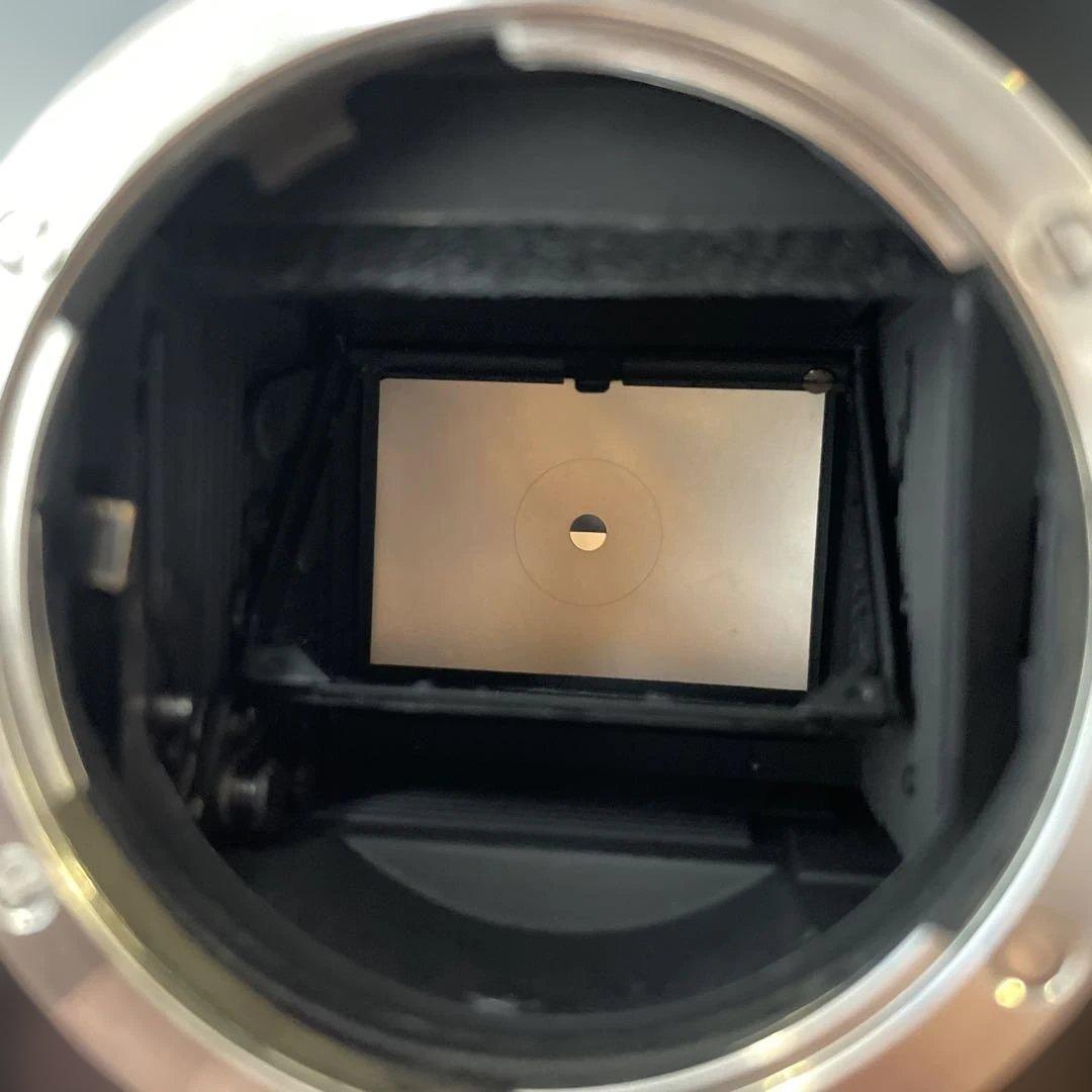 Nikon F ブラック 黒 本体のみ