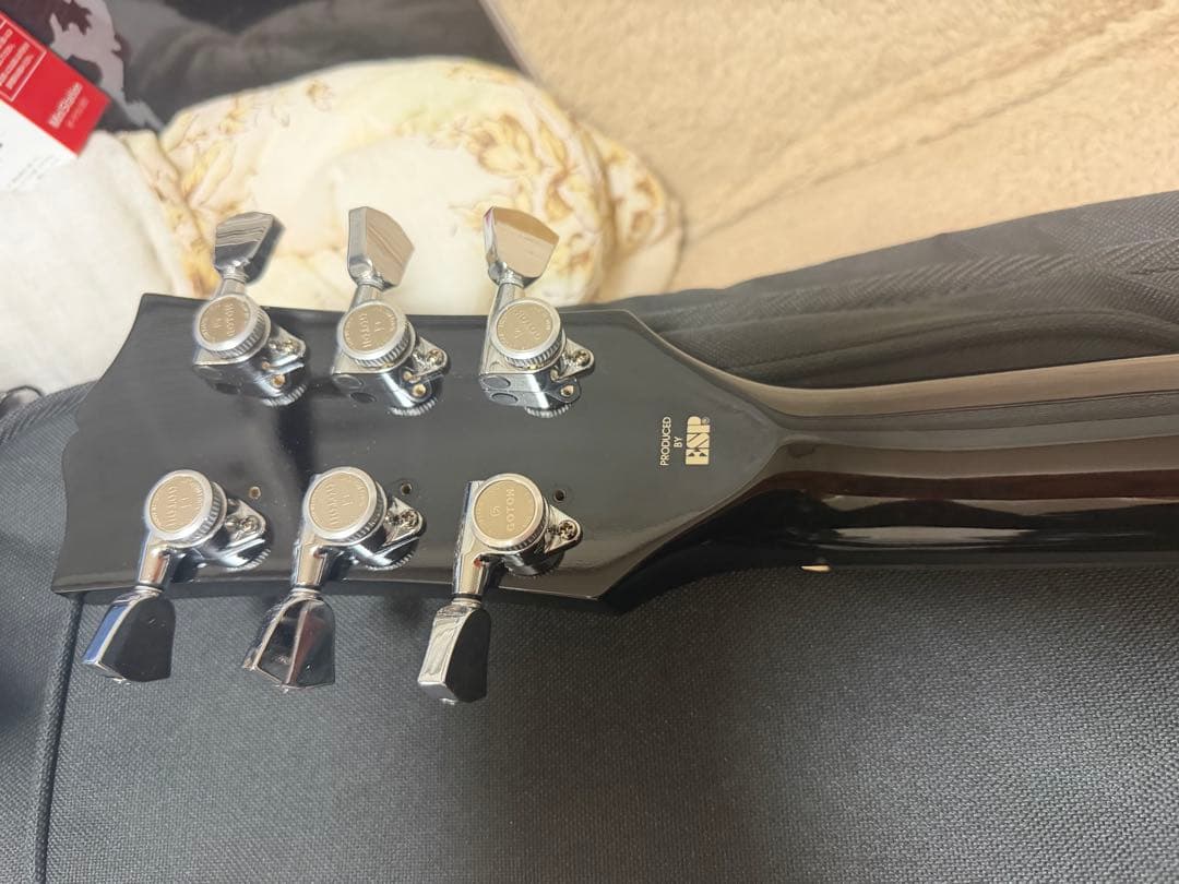 LUNA SEA inoranモデル改造品　ルナシー　イノラン