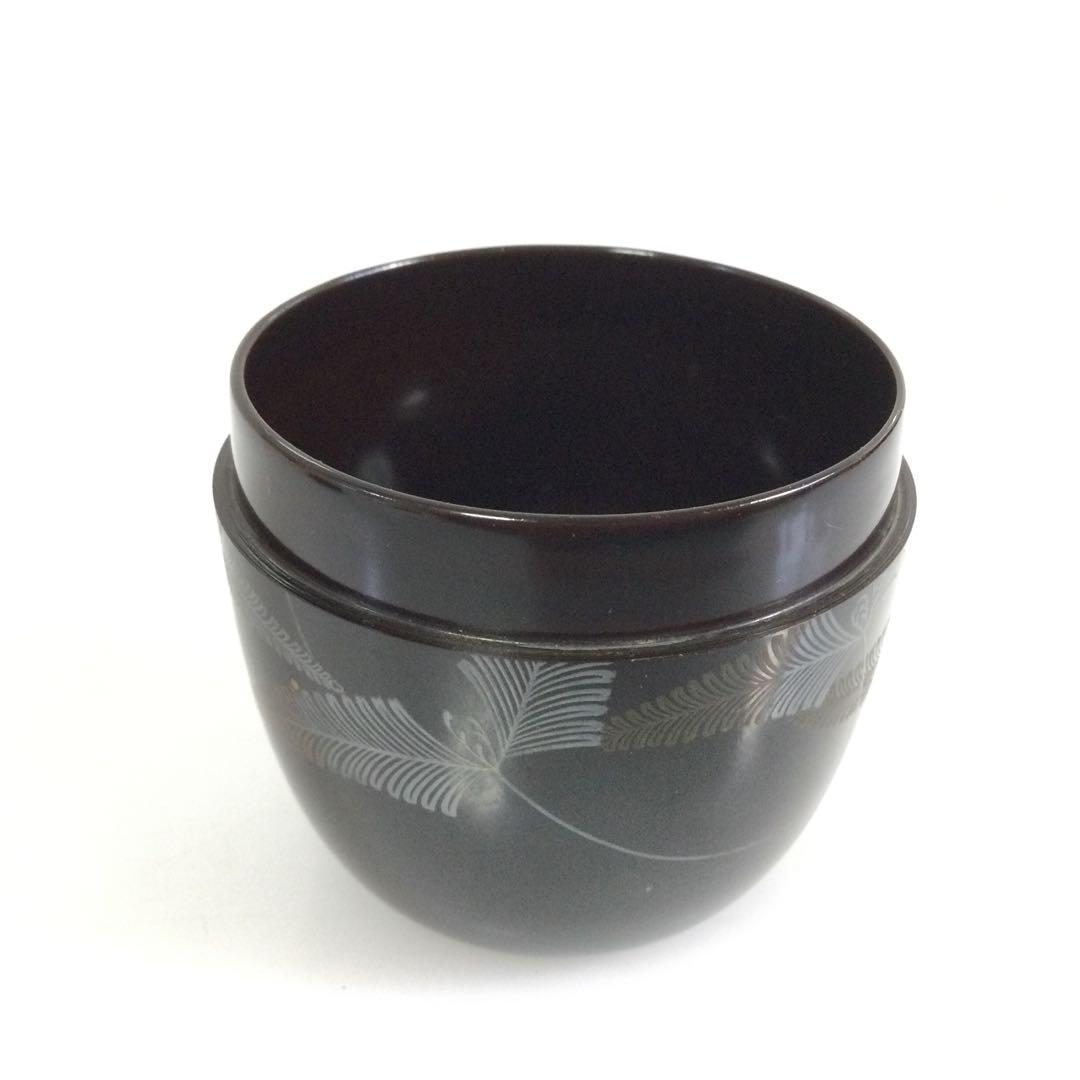 羊歯葉蒔絵棗 木製真塗 銘無し 茶道具 シダ植物 T707